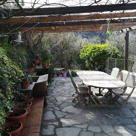 Le Viole Matte - Immerso Nel Con Vista Mare *